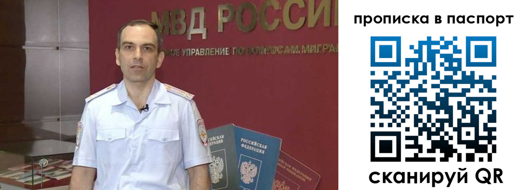 прописка поиск в Щёкино